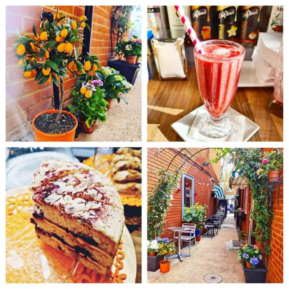 A collage: orange tree, strawberry milkshake, layered cake slice, outdoor café with brick walls and potted plants. - Home Instead