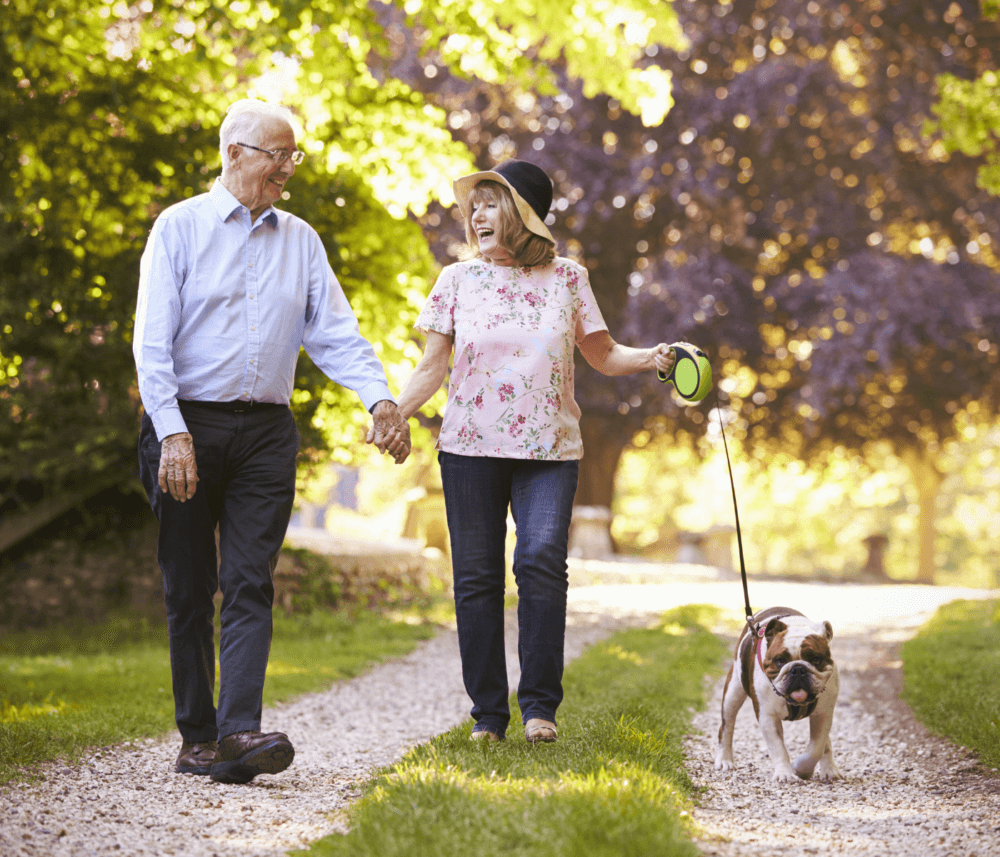 Older couple holding hands and walking their dog on a sunny path, surrounded by trees and greenery. - Home Instead