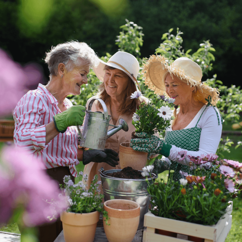 Three women gardening together, smiling while planting flowers in pots and watering them in an outdoor garden. - Home Instead