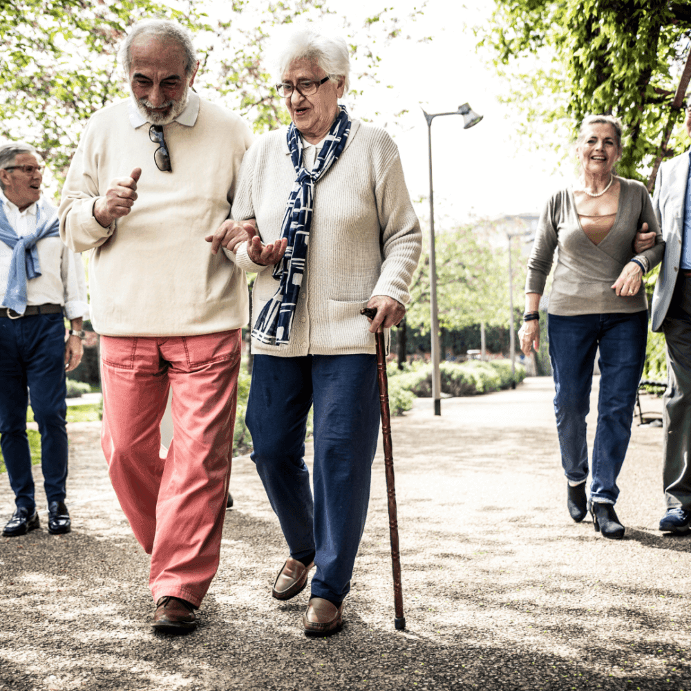 Elderly people walking and chatting on a sunny day in a park, with one using a walking stick. - Home Instead