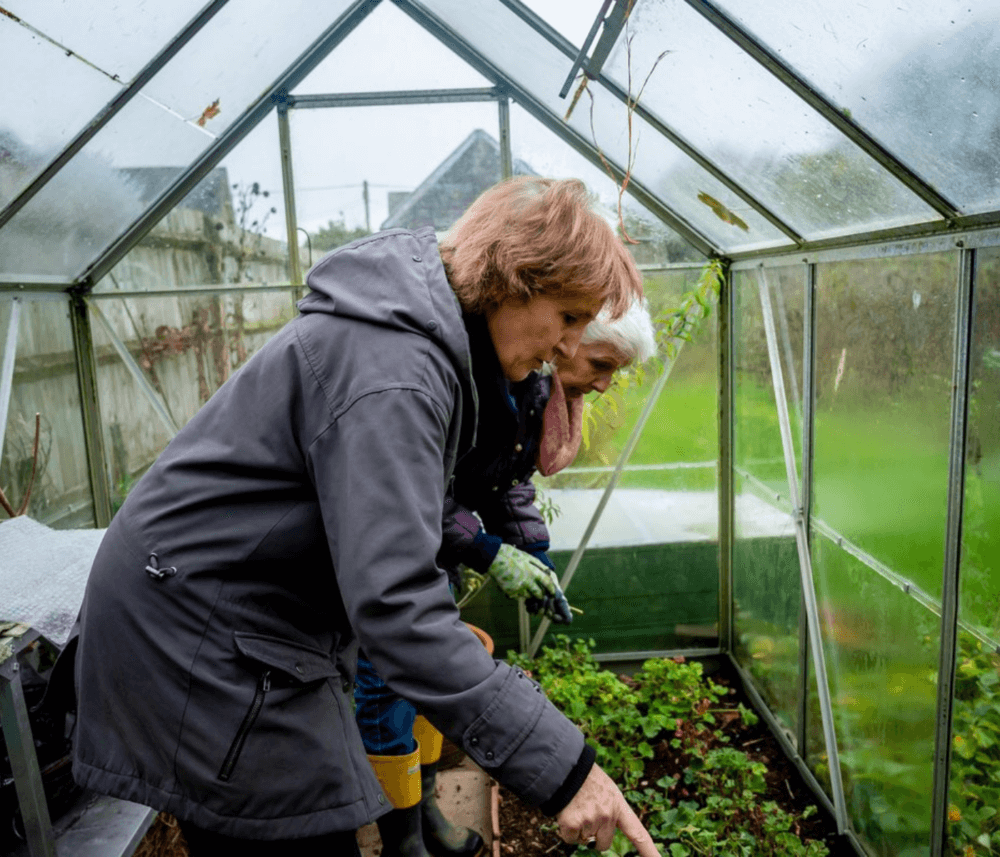 Two people in a greenhouse, tending to plants on a rainy day. They are dressed in jackets and gloves. - Home Instead