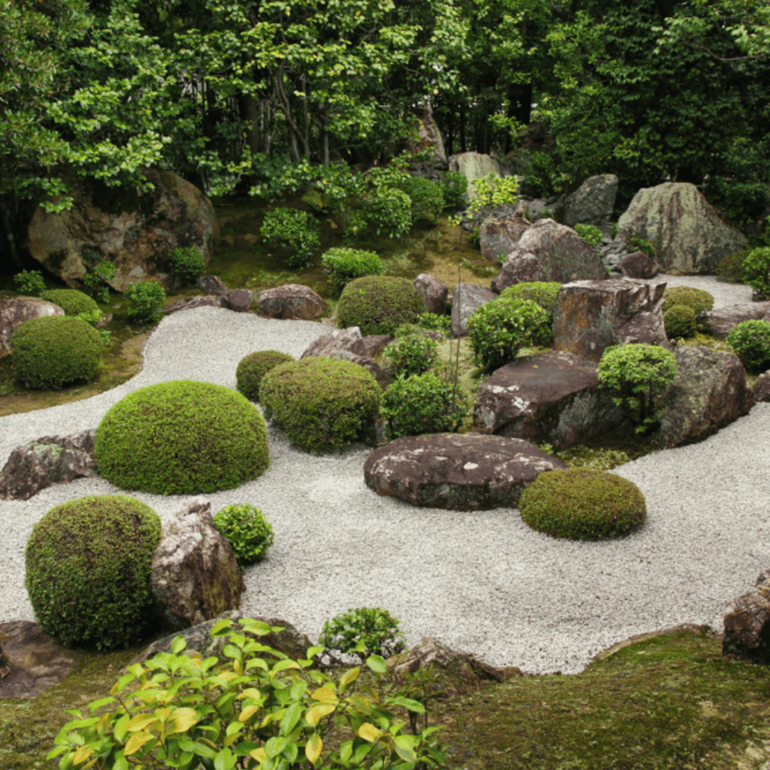 Zen rock garden with neatly arranged rocks, gravel, and sculpted bushes surrounded by lush green trees and foliage. - Home Instead