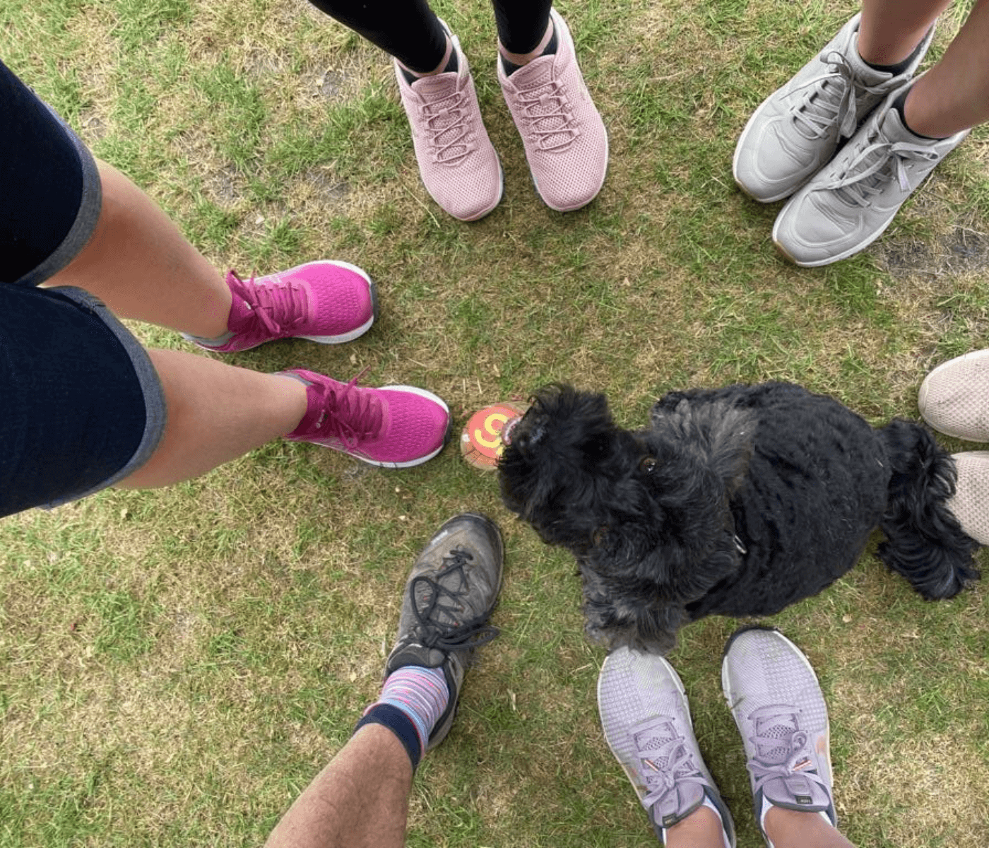 Six people standing in a circle with a black dog and a tennis ball in the center on a grassy field. - Home Instead