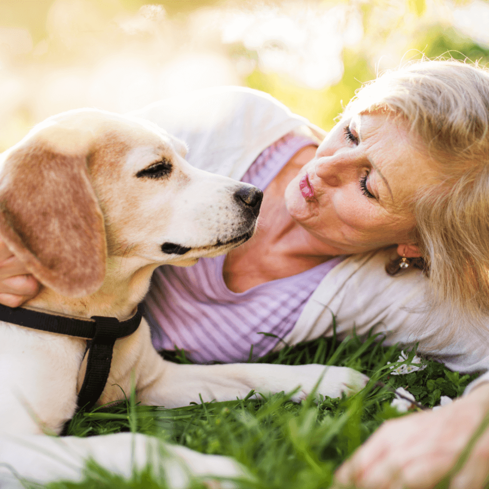 An older woman lies in the grass, smiling and hugging a Labrador dog on a sunny day. - Home Instead