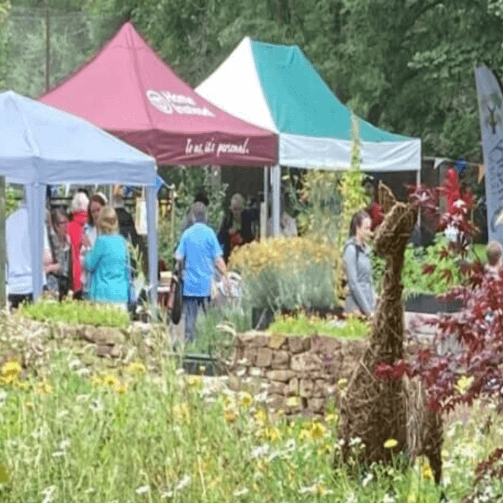 People browsing outdoor market stalls with a garden and plant sculpture in the foreground. - Home Instead