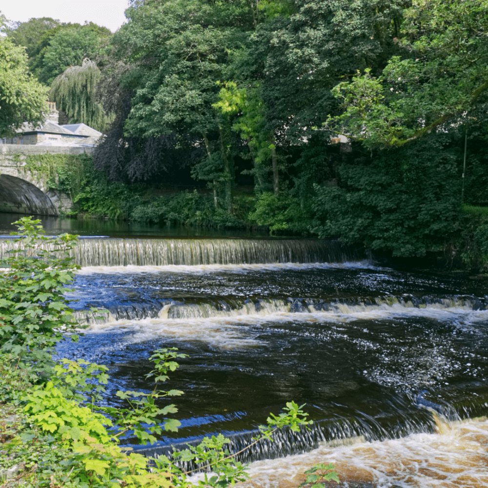 A small waterfall on a river surrounded by trees and greenery, with a stone bridge visible in the background. - Home Instead