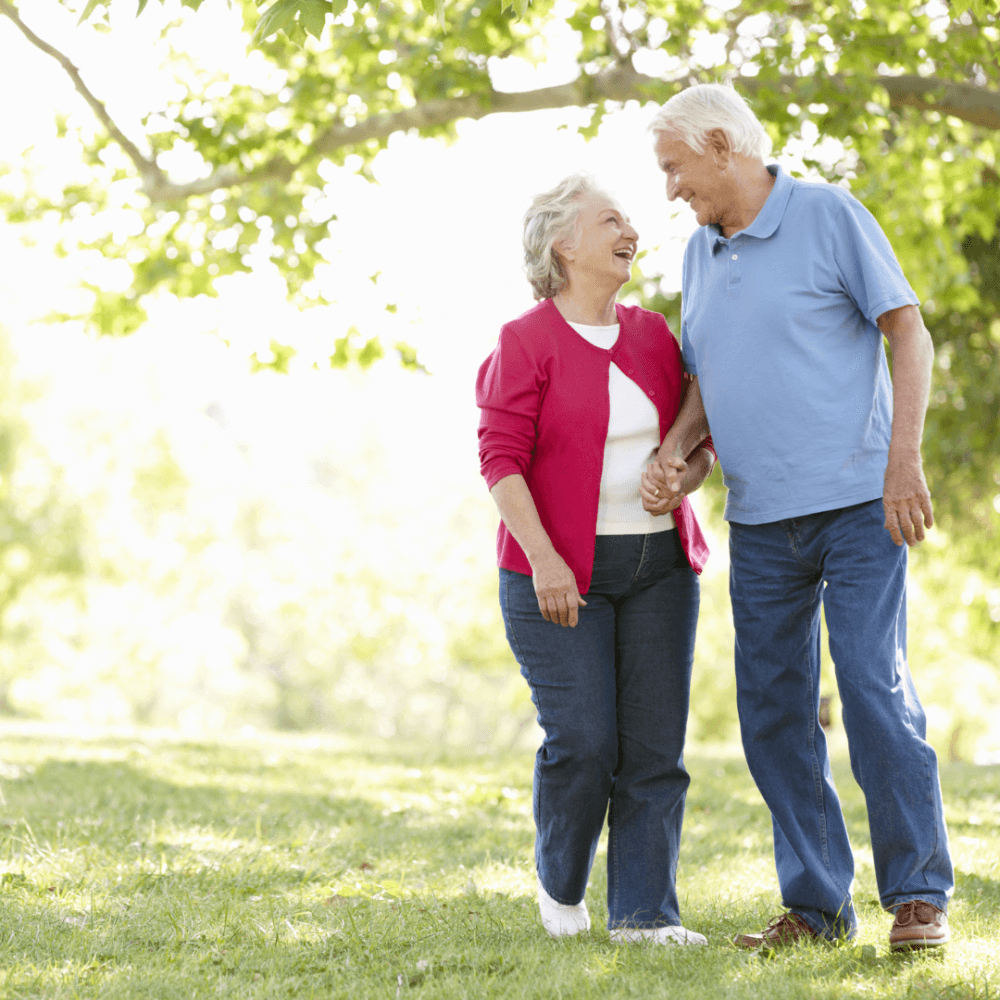 Elderly couple walking hand in hand and smiling at each other in a sunny park with green trees in the background. - Home Instead