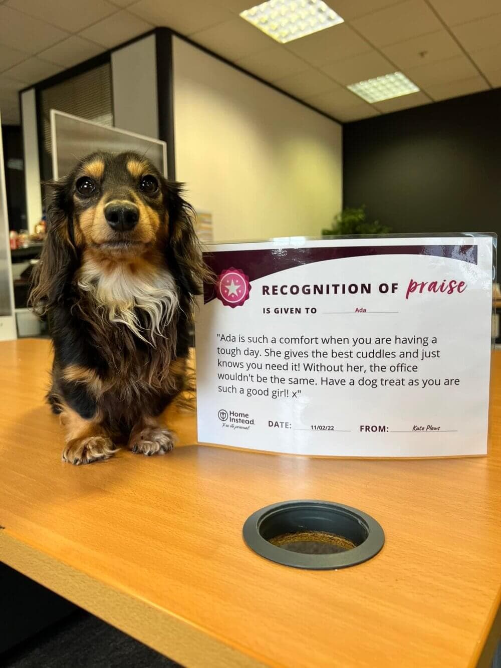 A small dog sits near a recognition award certificate praising its positive impact on the office environment. - Home Instead