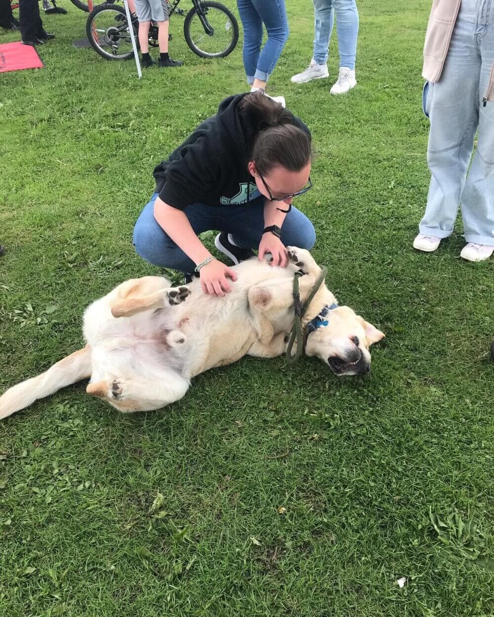 Person kneels and pets a happy dog lying on its back in a grassy area surrounded by other people. - Home Instead