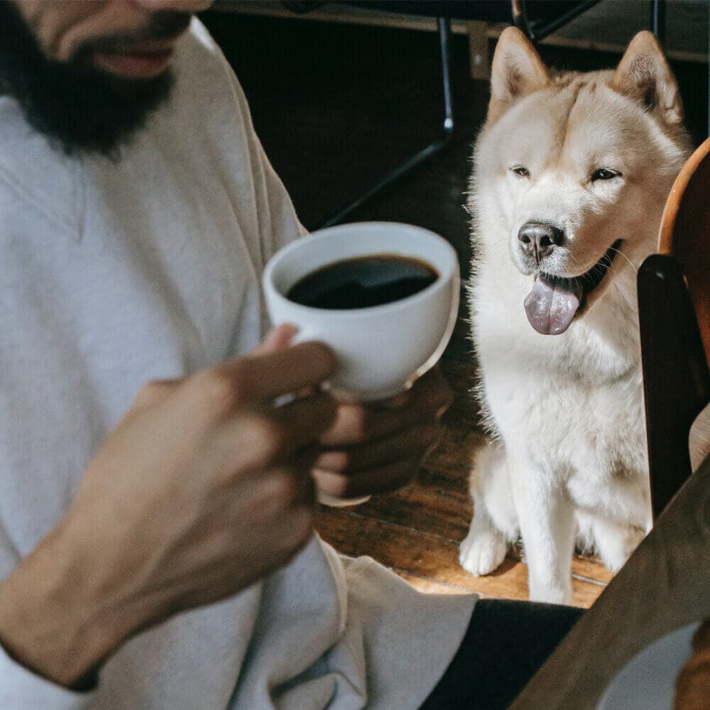 Person holding a cup of coffee with a smiling dog sitting beside them, tongue out. . - Home Instead