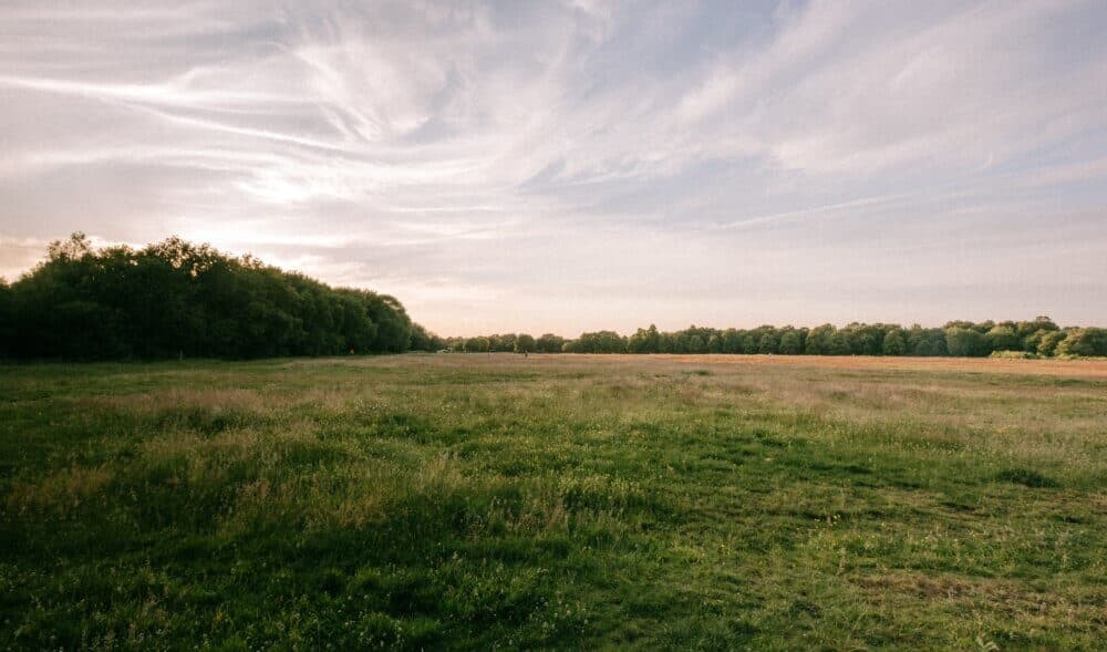 A wide, grassy field with trees lining the horizon under a partly cloudy sky at sunset. - Home Instead