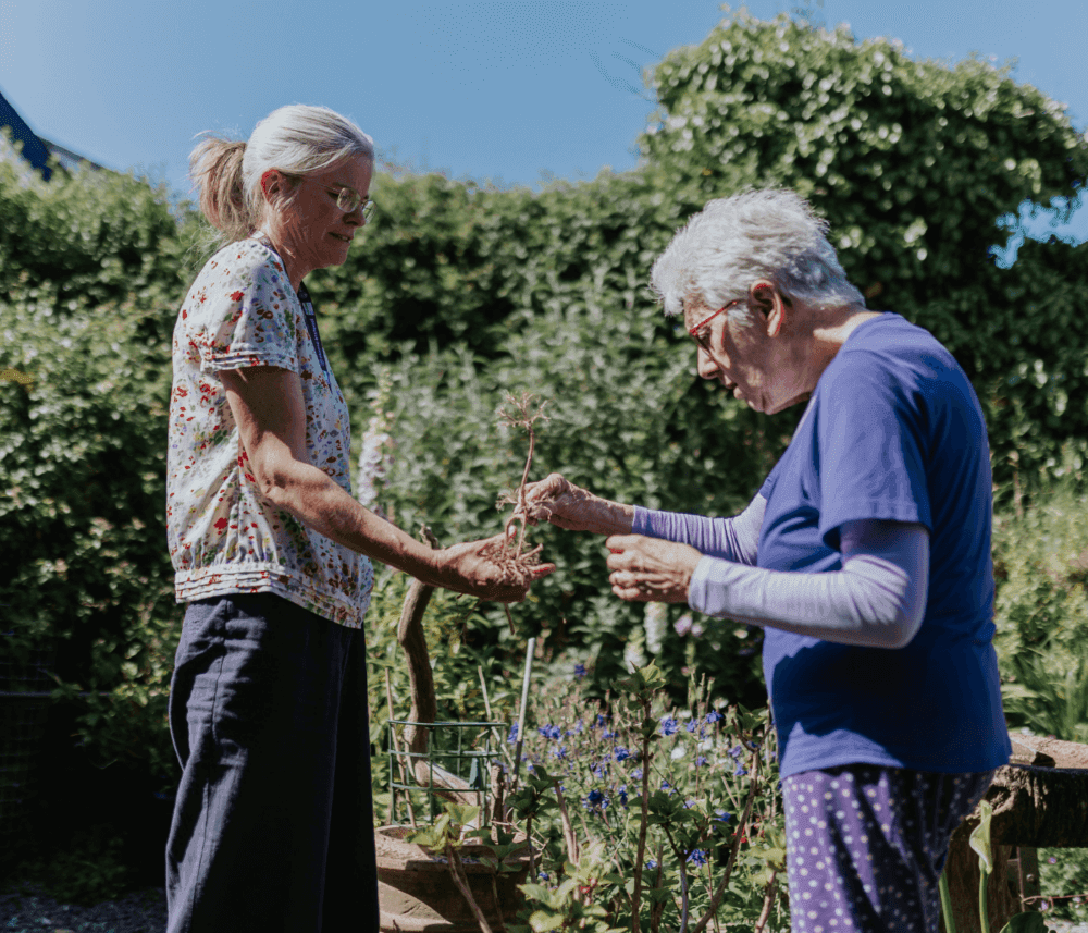 Two elderly women in a garden, one holding a plant while the other touches it, surrounded by greenery. - Home Instead