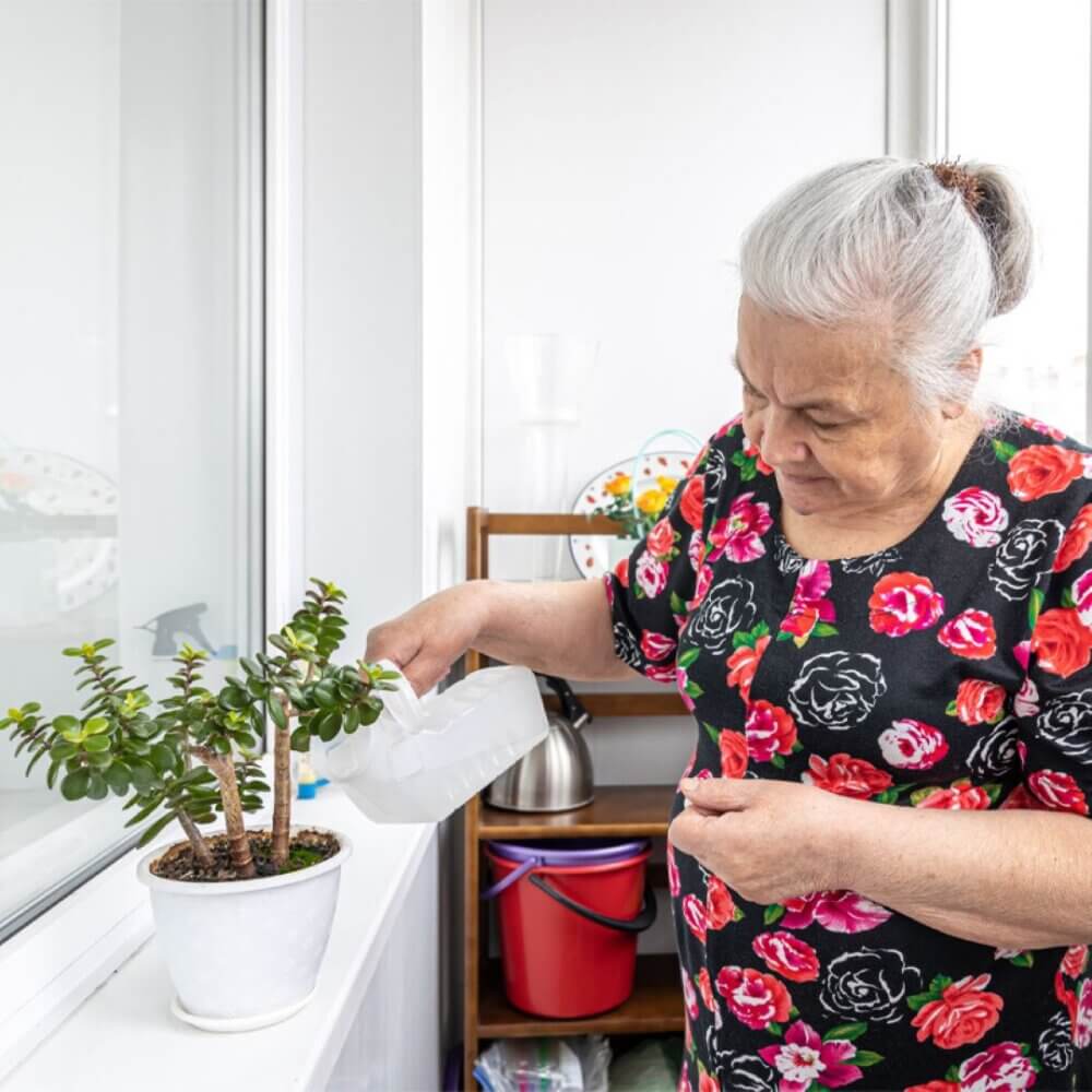 An older woman with gray hair waters a potted plant with a white watering can. - Home Instead