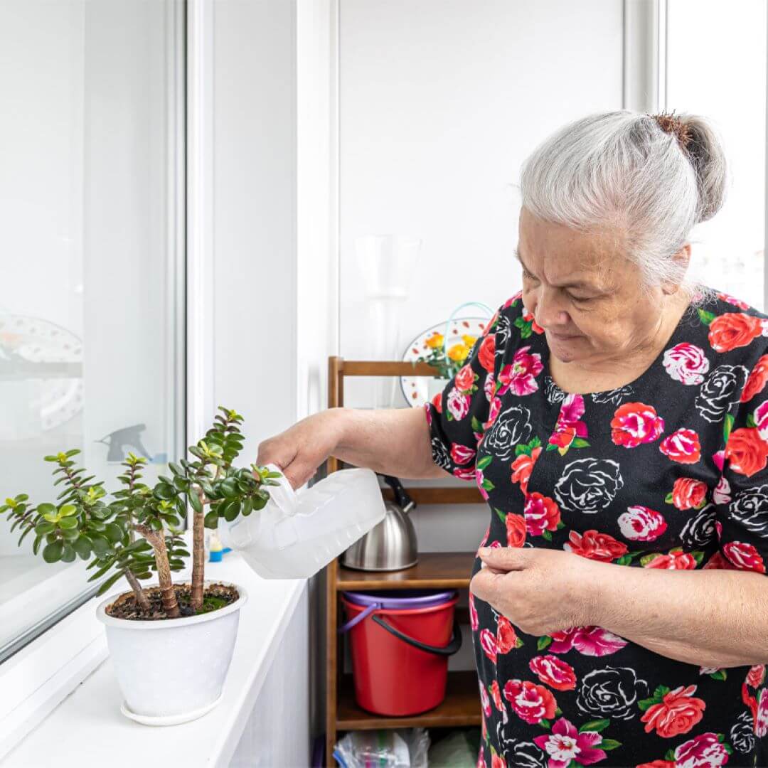 An older woman with gray hair waters a potted plant with a white watering can. - Home Instead