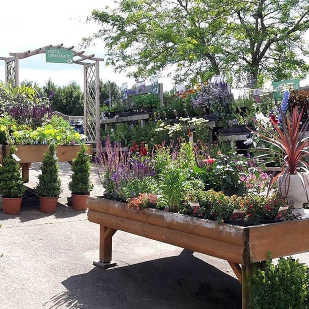 A variety of potted plants and flowers displayed on wooden tables in an outdoor garden center. - Home Instead
