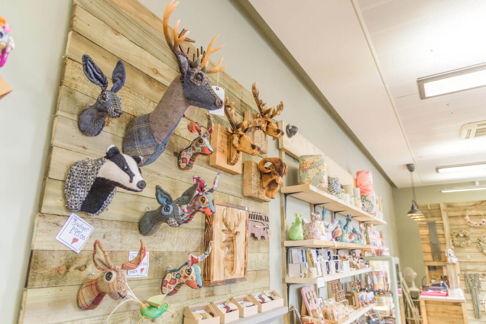 A shop wall with various handmade plush animal heads on display, including deer, badgers, and other animals. - Home Instead
