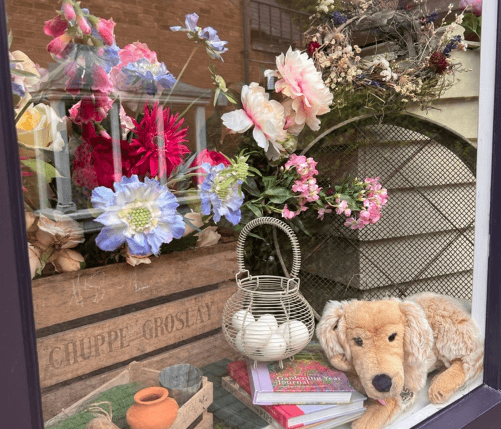 A cozy display with colorful flowers, books, a wicker basket of eggs, and a plush dog toy in a window. - Home Instead
