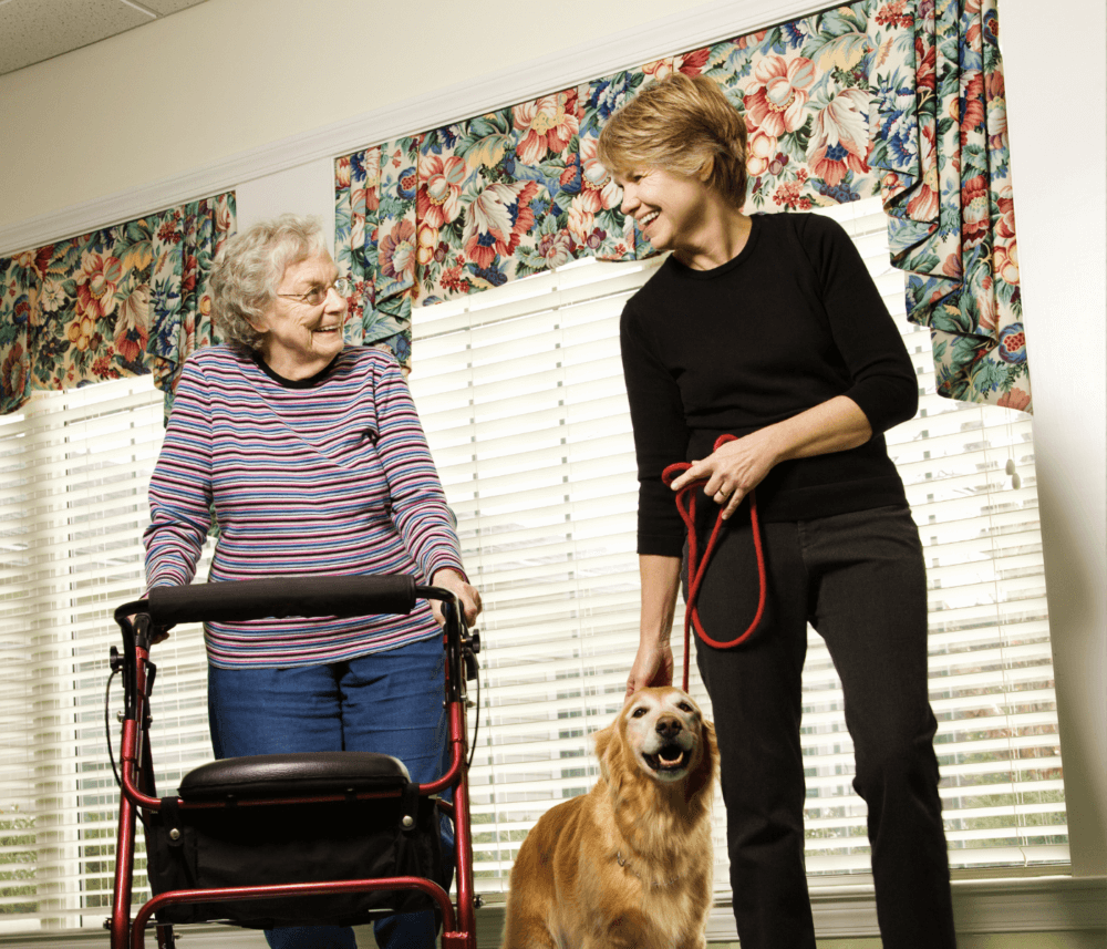 Older woman with a walker looks at a younger woman holding a dog on a leash in a room with floral patterned curtains. - Home Instead