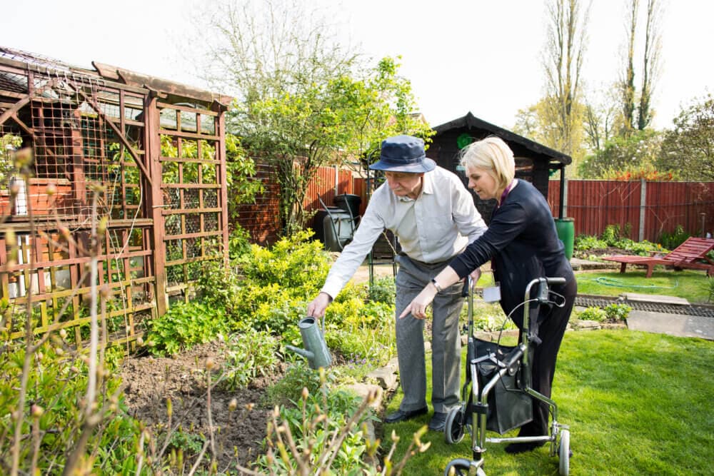 Two people gardening together in a backyard, one with a walker and the other watering the plants. - Home Instead