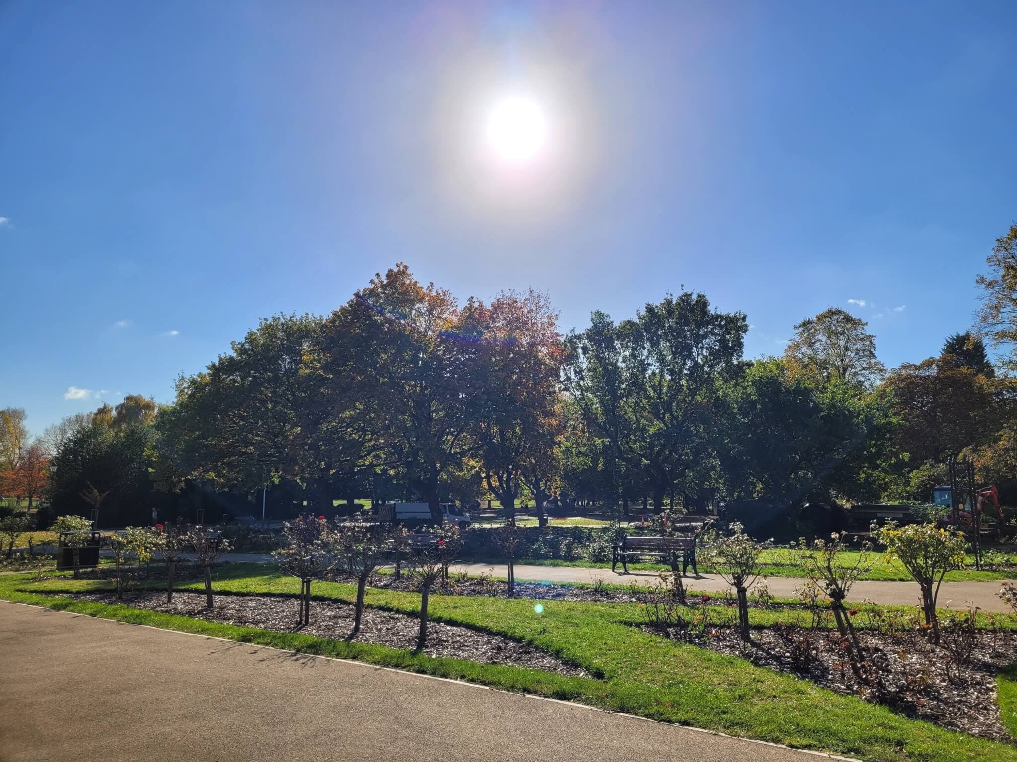 Sunny park with a clear blue sky, trees in the background, and a paved pathway with small plants along the edge. - Home Instead
