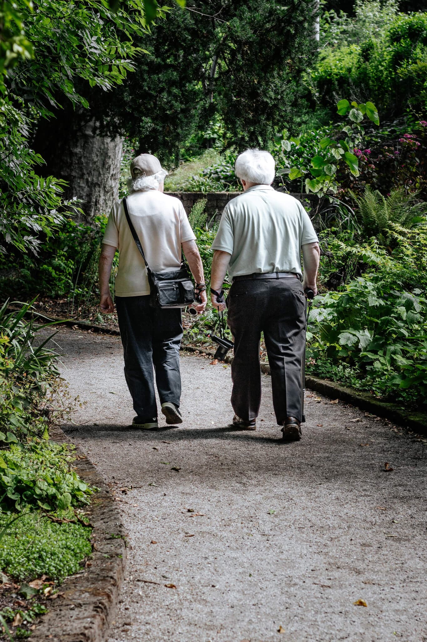 Two elderly people, one with a camera, walking down a tree-lined path surrounded by lush greenery in a park. - Home Instead