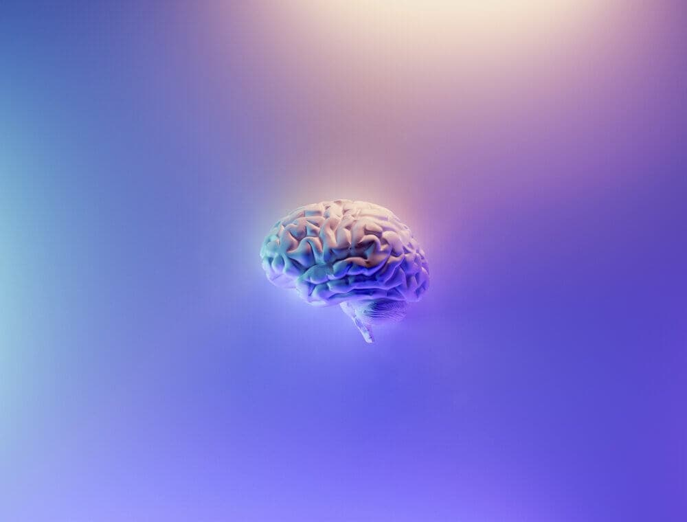 A detailed illustration of a human brain floating against a gradient background of blue, purple, and soft pink hues. - Home Instead
