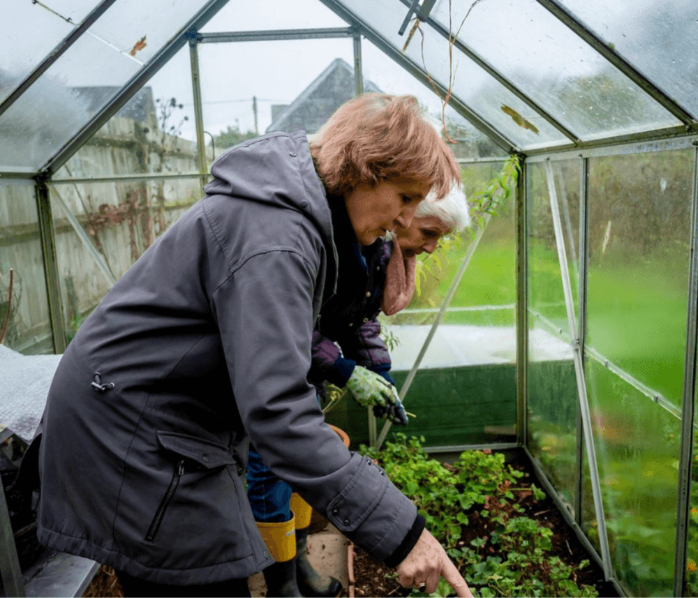 Two elderly individuals in a greenhouse tend to plants, focused on their gardening task on a rainy day. - Home Instead