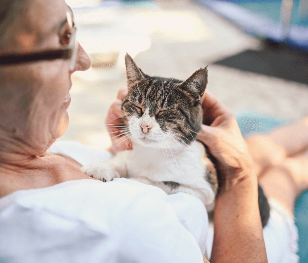 A person with glasses holds a contented cat on their chest, both enjoying a peaceful moment outdoors. - Home Instead