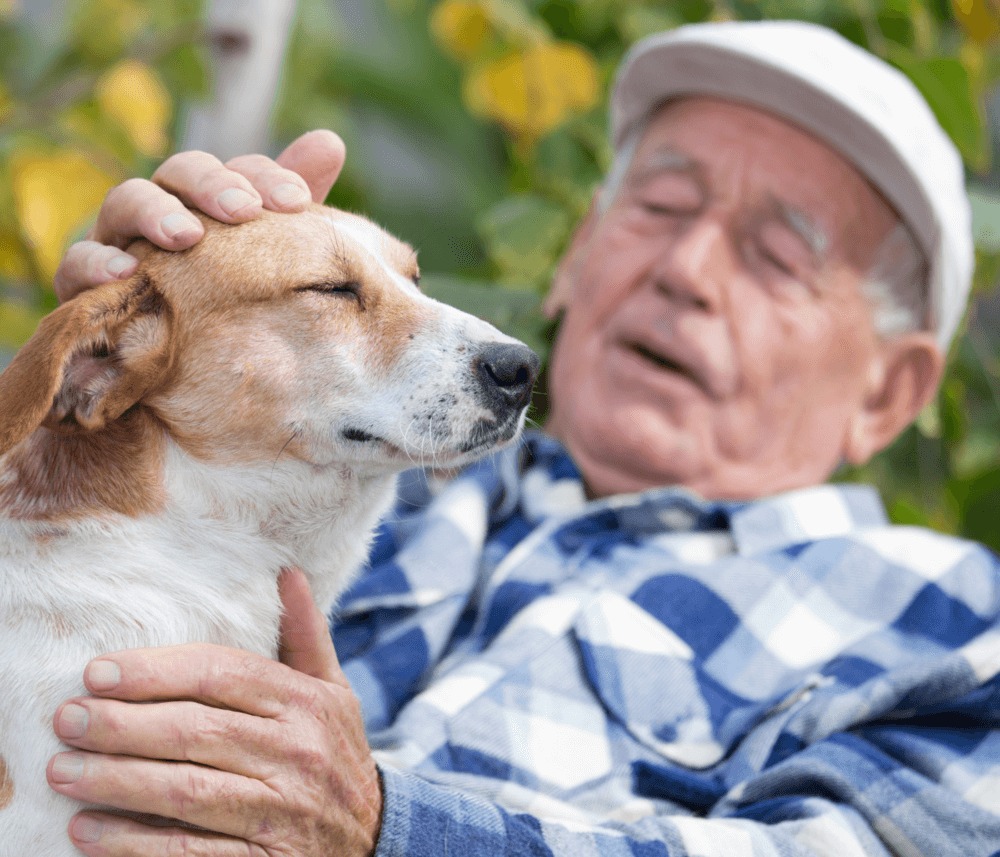An older man wearing a cap and plaid shirt pets a relaxed dog outside on a sunny day. - Home Instead