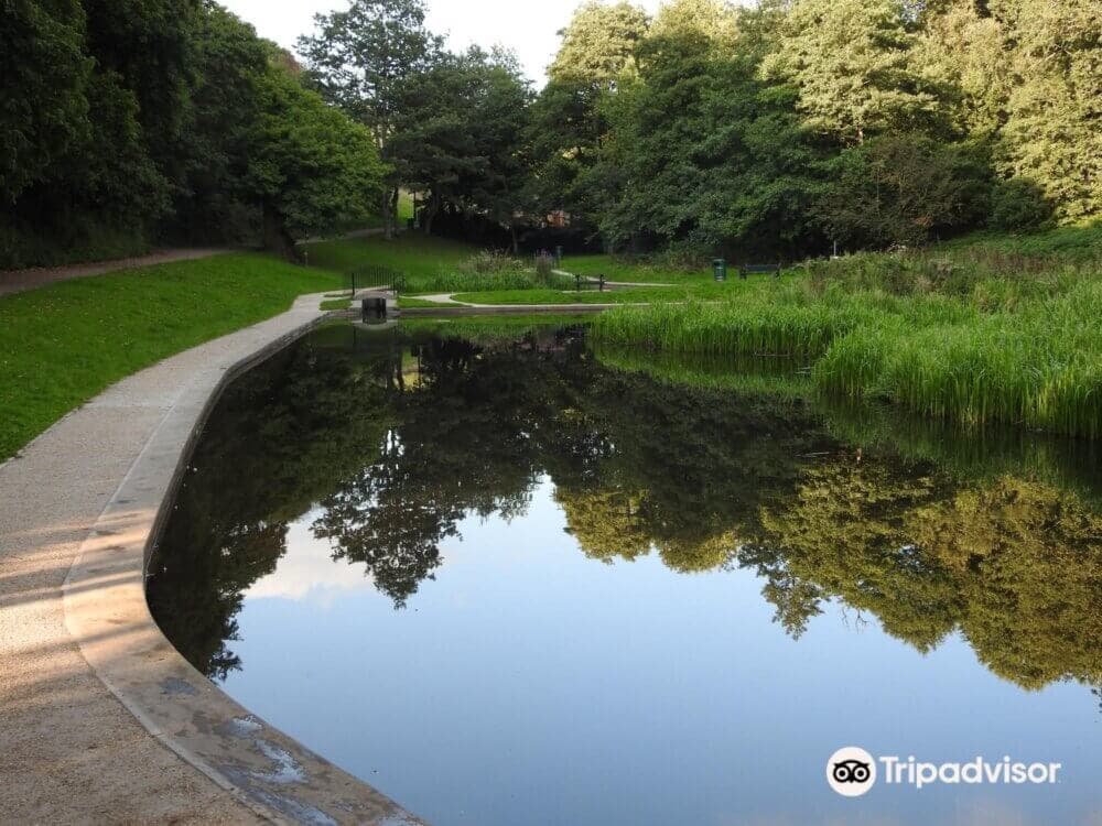 Serene park scene with a path curving alongside a still pond, reflecting lush green trees, under a clear sky. - Home Instead