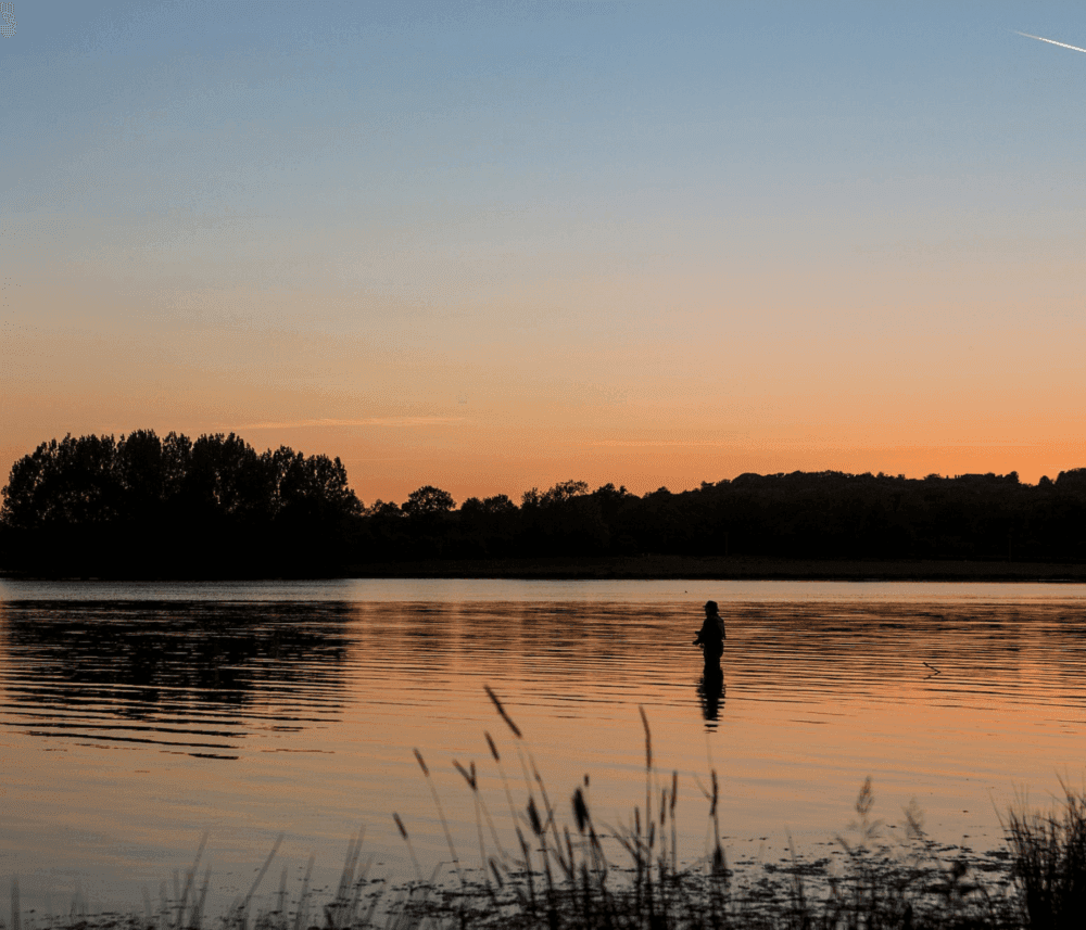A serene lake at sunset with a solitary figure wading in the water, surrounded by reeds and distant trees. - Home Instead