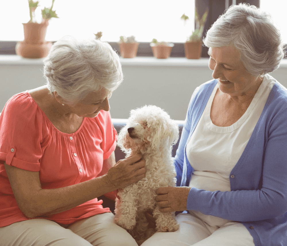 Two elderly women smiling and playing with a small white dog indoors, with plants visible in the background. - Home Instead