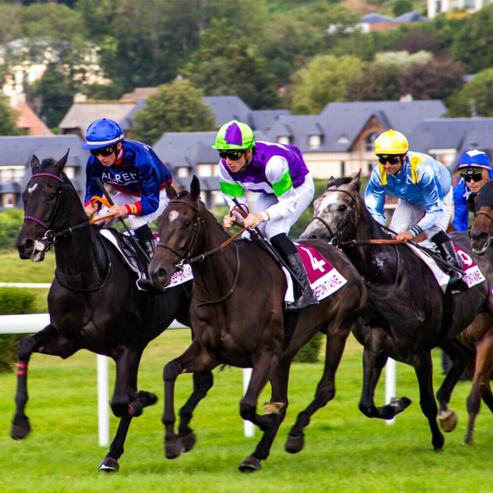 Four jockeys riding horses compete in a race on a grassy track with buildings and trees in the background. - Home Instead