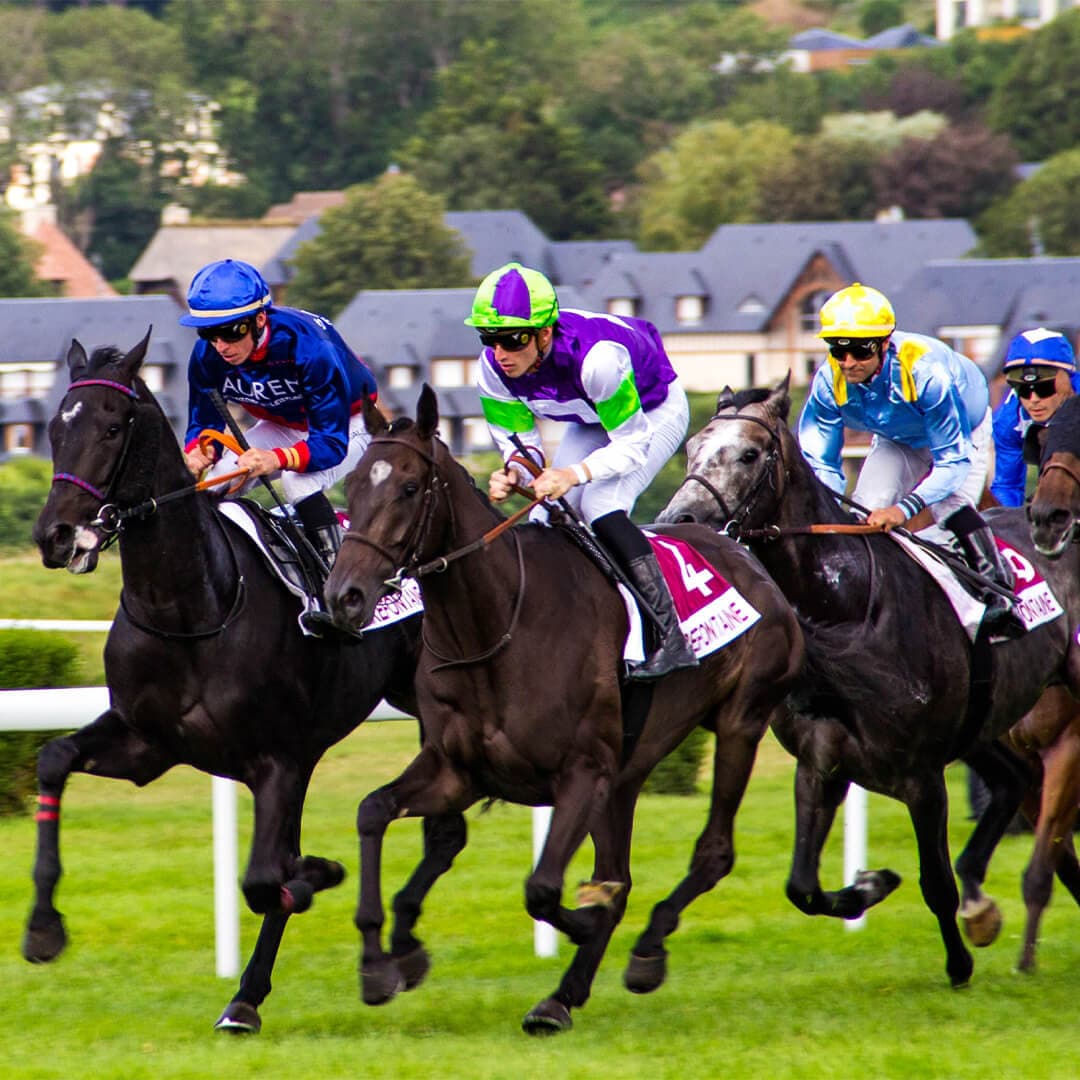 Five jockeys riding racehorses compete on a grassy racetrack with buildings and trees in the background. - Home Instead