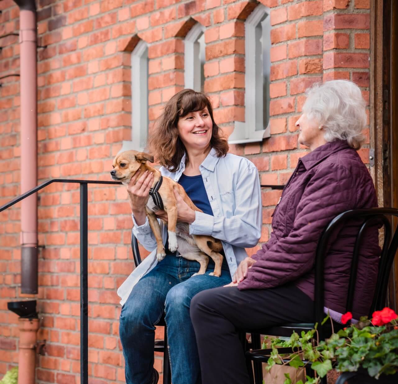 Two women sitting on a porch with a small dog, having a conversation and smiling. - Home Instead