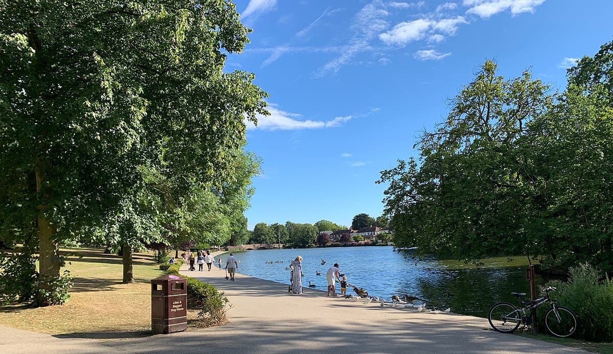 People walking and feeding ducks by a tranquil lake in a park on a sunny day, with trees and a blue sky in the background. - Home Instead