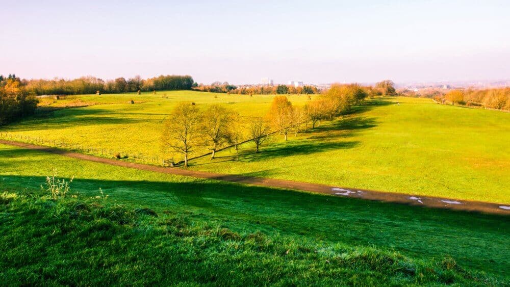 A vast green, sunlit field with trees, a path and a distant view of buildings under a clear sky. - Home Instead