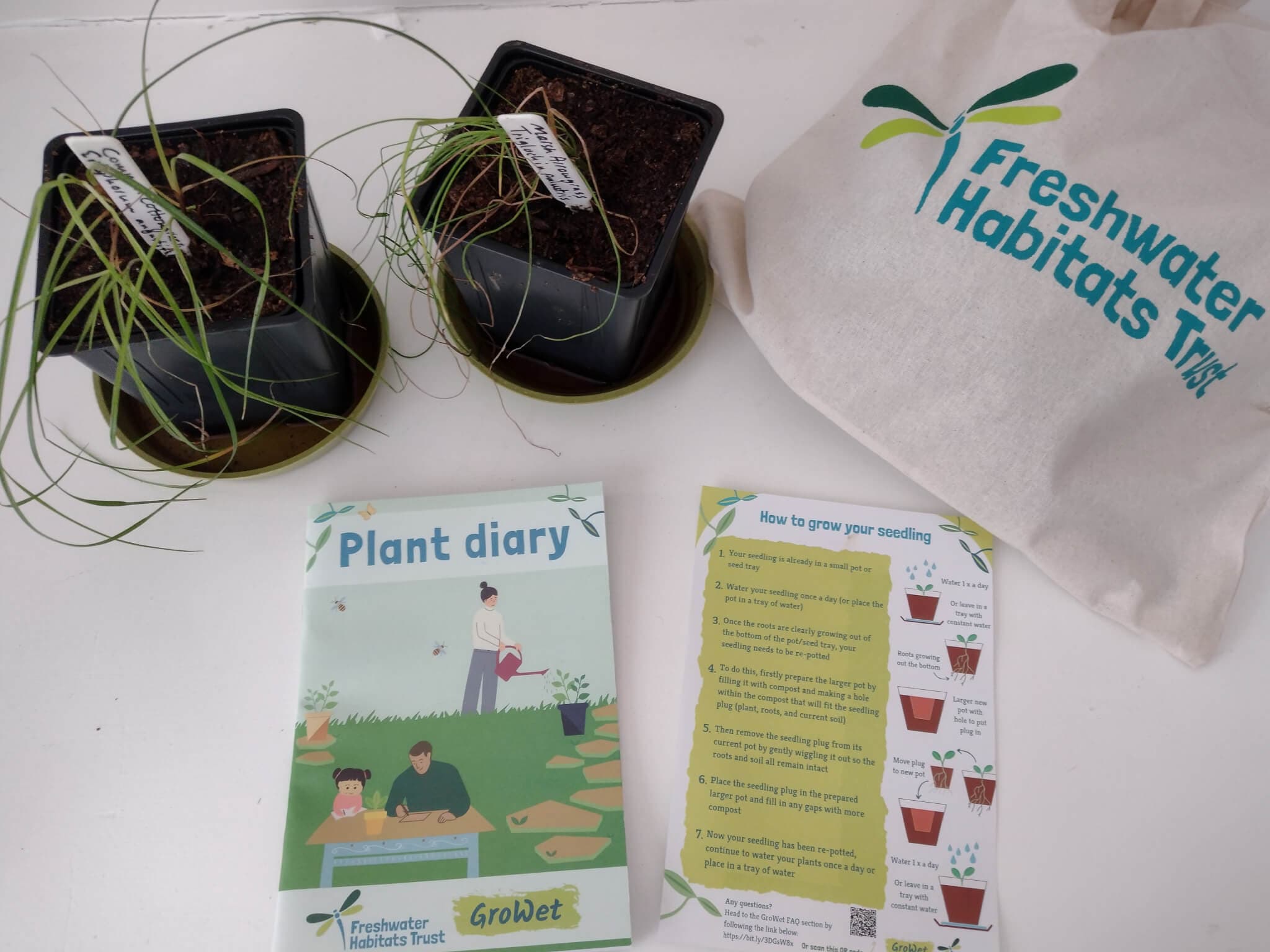 Two potted plants, a tote bag labeled "Freshwater Habitats Trust", a plant diary booklet, and a seedling guide. - Home Instead