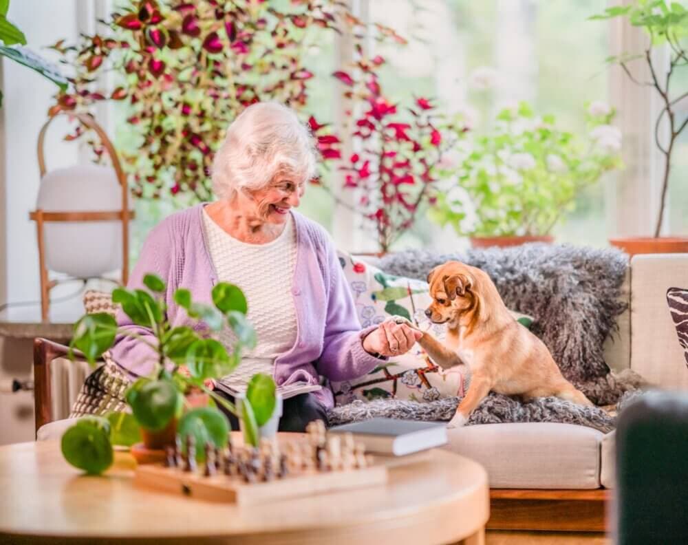 Elderly woman in a lavender sweater smiling at a small dog while they hold paws on a sofa, surrounded by plants. - Home Instead