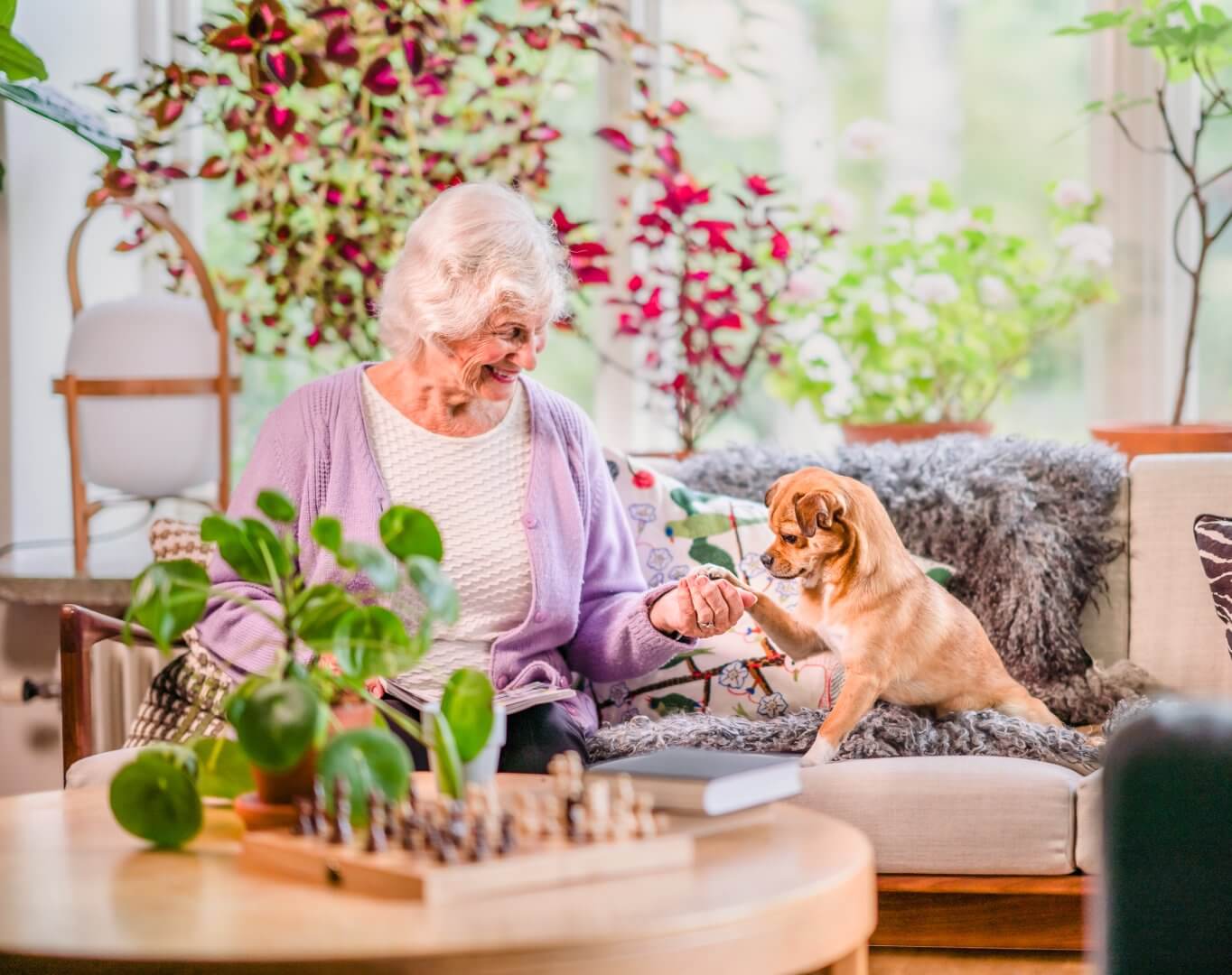 Elderly woman in a lavender sweater smiling at a small dog while they hold paws on a sofa, surrounded by plants. - Home Instead
