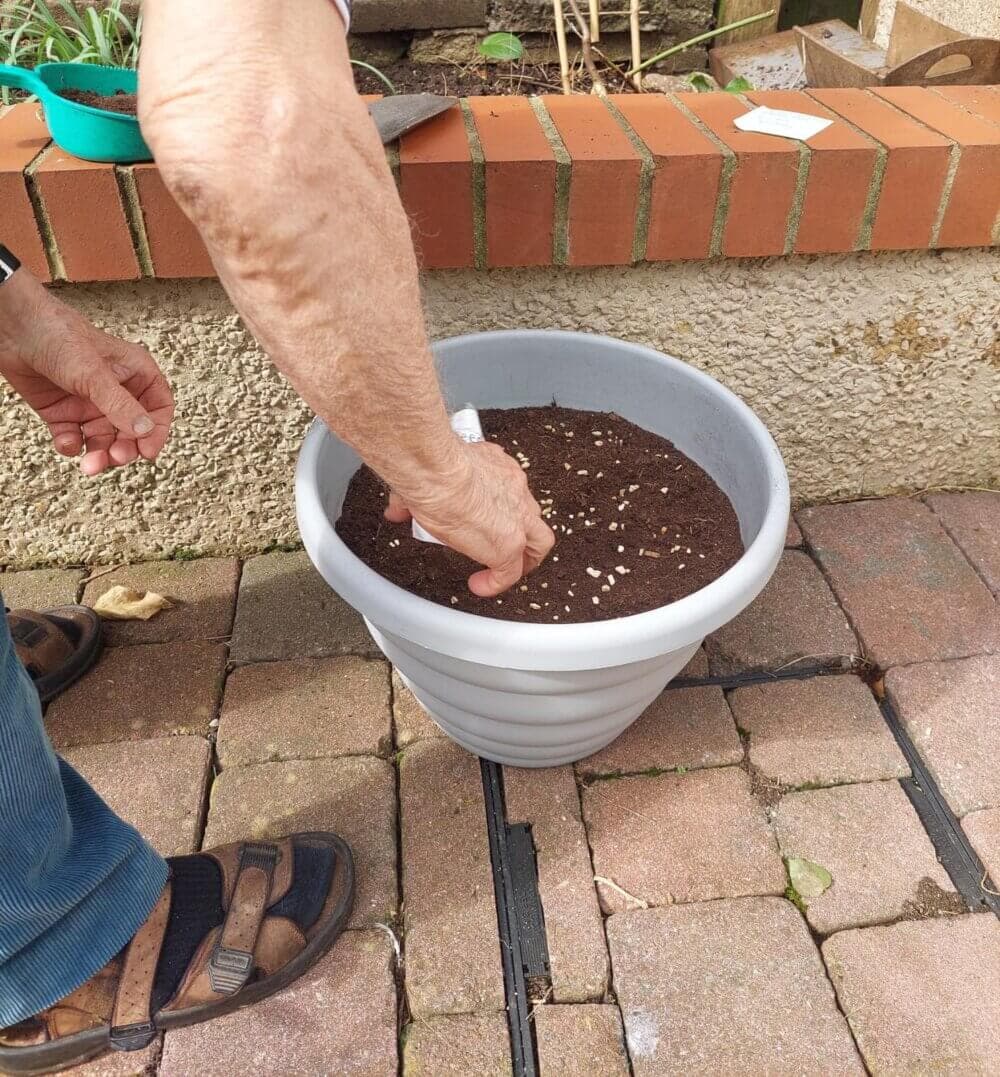 Person planting seeds in a large white pot filled with soil on a paved outdoor area. - Home Instead