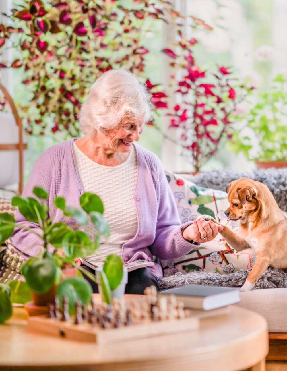 An elderly woman with white hair sits on a couch, smiling and holding a small dog’s paw. Chessboard on table in front. - Home Instead