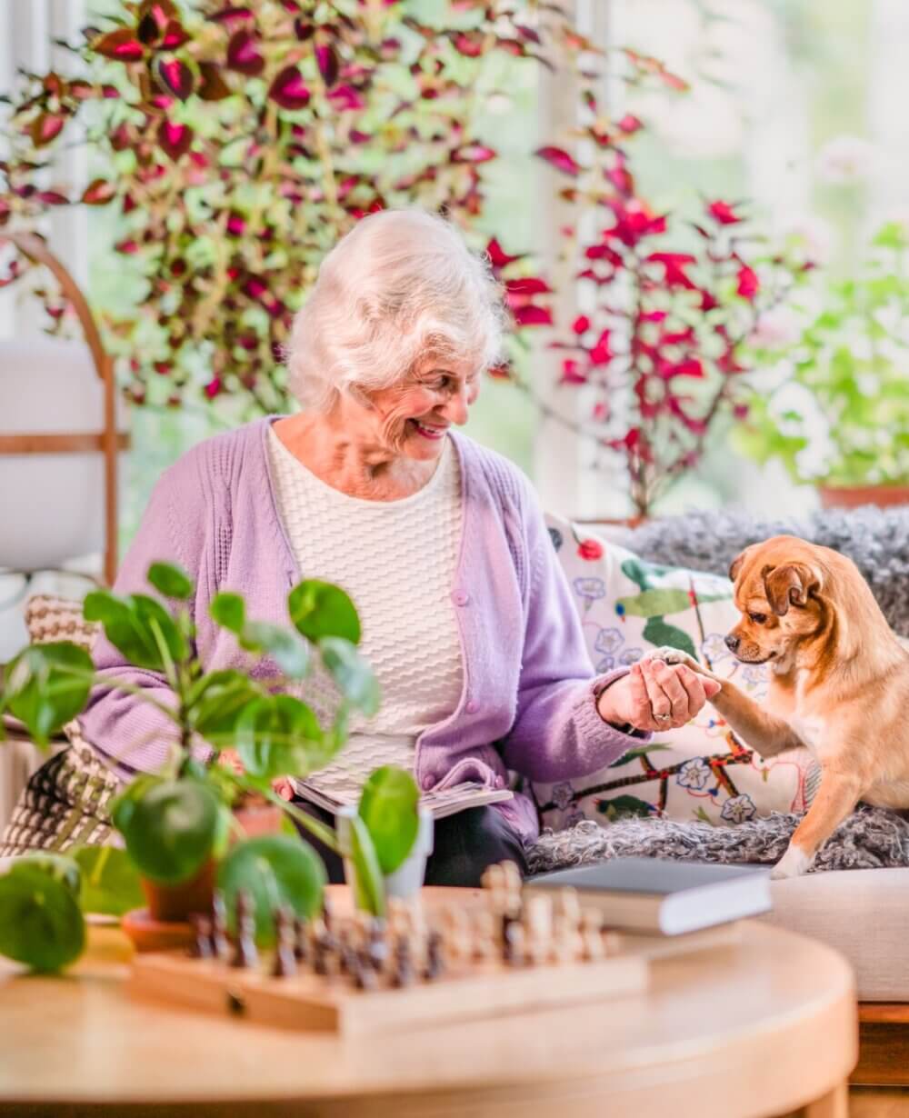 Elderly woman smiling and giving a treat to a small dog indoors, with plants and a chessboard in the background. - Home Instead