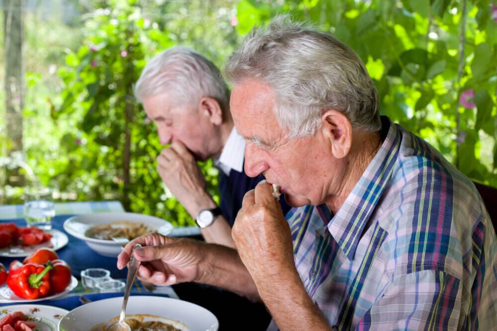 Two elderly men sit at a table eating a meal outdoors, surrounded by greenery. - Home Instead