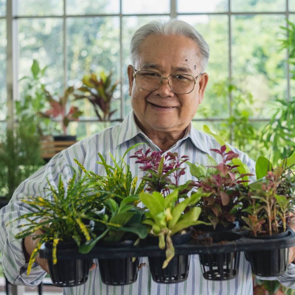 An elderly man holding a tray of potted plants, smiling in a greenhouse with various plants in the background. - Home Instead