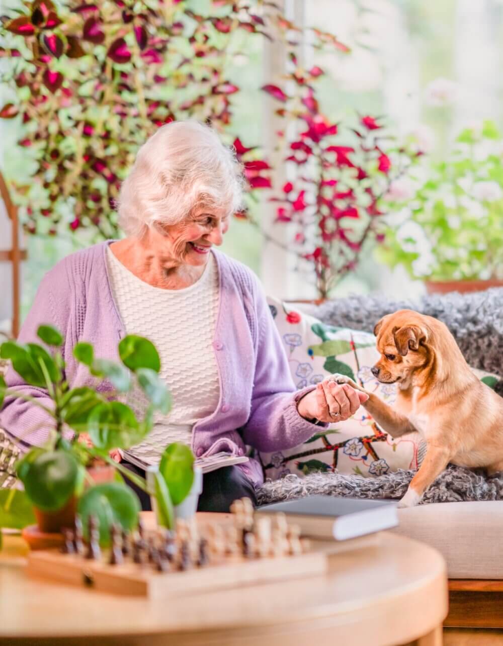 An elderly woman with white hair and a purple cardigan enjoys a moment with her dog on a cozy couch with plants nearby. - Home Instead