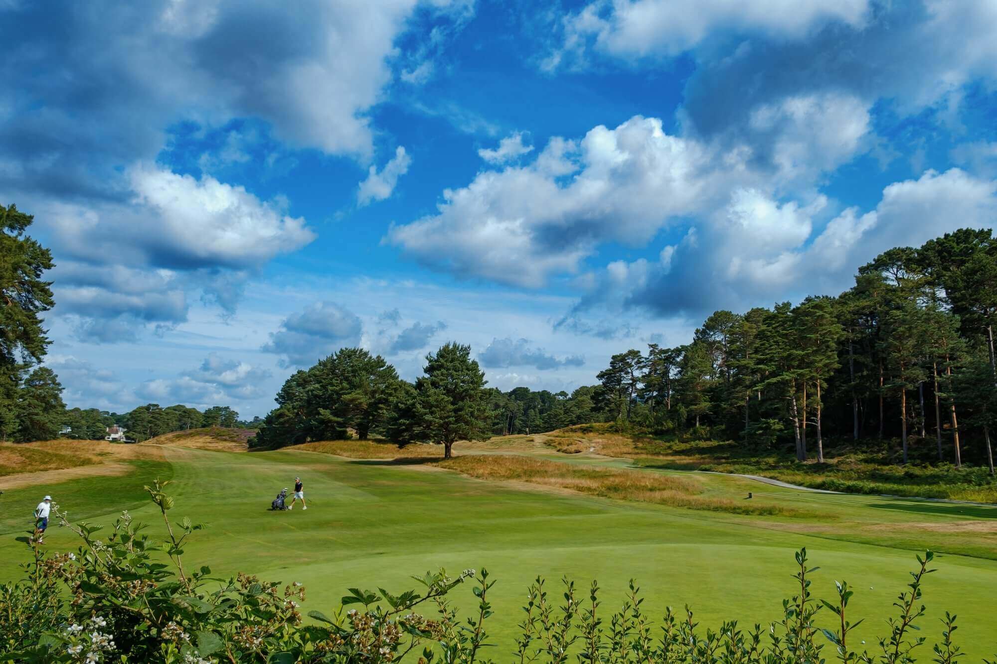 A scenic golf course with lush green fairways surrounded by trees, under a bright blue sky with scattered clouds. - Home Instead Poole