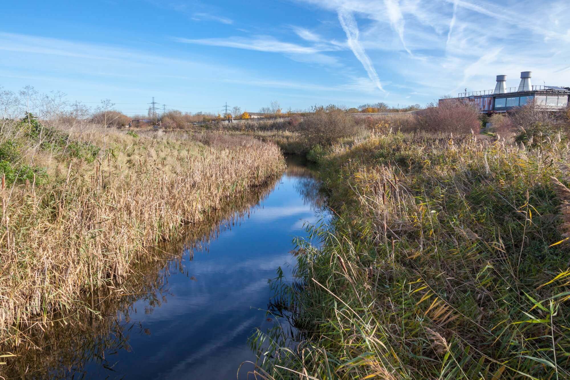 A serene river flows through a natural landscape with tall grasses and a clear blue sky overhead on a sunny day. - Home Instead