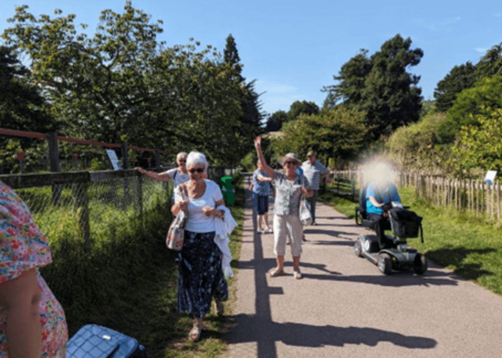 A group of elderly individuals walk outside on a sunny day. One person rides a mobility scooter. - Home Instead