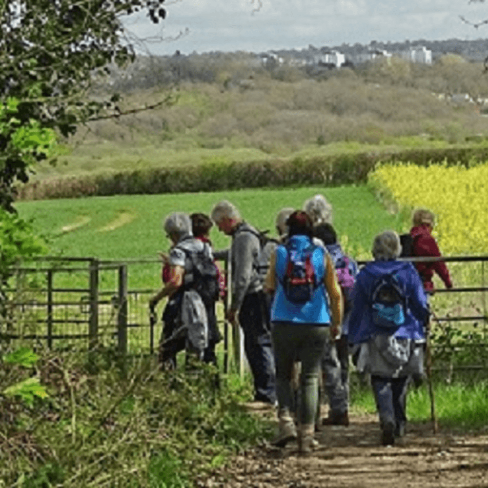 A group of people with backpacks walking through a lush, green field towards a distant, tree-covered area. - Home Instead